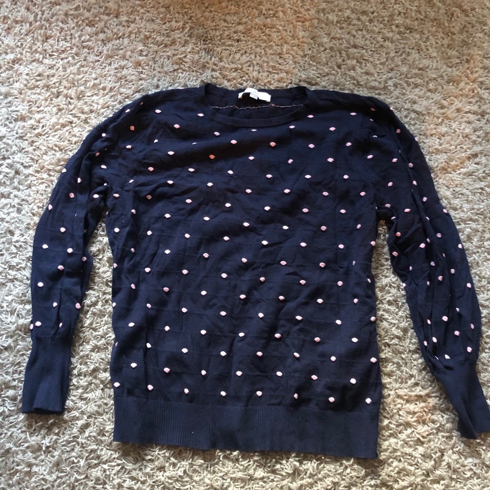 Loft Navy Crew Neck Sweater